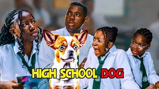 High School Dog -  Africa's Worst Class video | Aunty Success | MarkAngelComedy