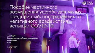 COVID-19 Вебинар I Пособия для предпринимателей (на русском языке)