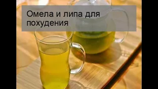 Омела и липа для похудения