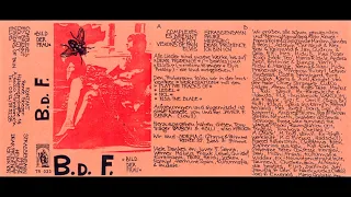 B.d.F. - Dear Prudence (The Beatles Cover)