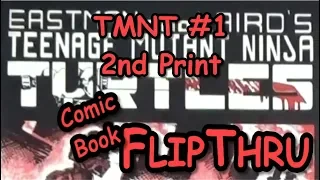 Comic Book FlipThru: Teenage Mutant Ninja Turtles #1 2nd Print; Mirage Studios 1984