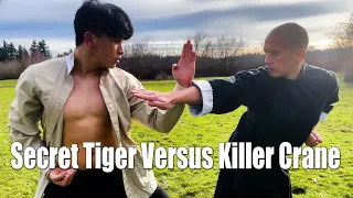 Secret Tiger Versus Killer Crane - Old School Kung Fu Fight