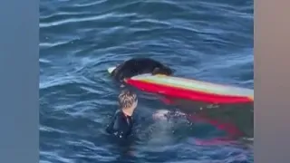 Sea Otter chases surfer, bites board in Santa Cruz