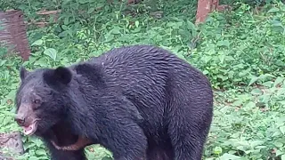 Vizag Zoo