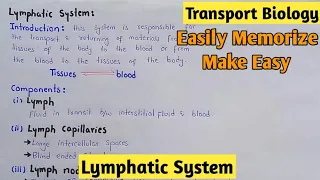 Lymphatic System | Lypmh | Class 11 Biology
