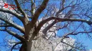 The Zimbabwean man who lives in a baobab tree