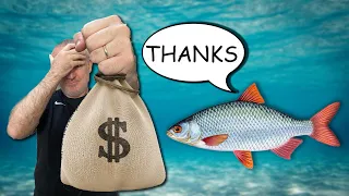 From Losing to Cruising #8 | We are DONATING to FISH!!! | More 100NL Hands Reviewed