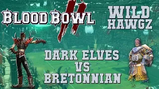 Blood Bowl 2 - Dark Elves (the Sage) vs Bretonnian (PaladinNafi) - WH G11