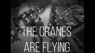 The Cranes Are Flying (Dir. Mijaíl Kalatózov)