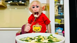 Monkey Bibi woke up crying asking for tofu!