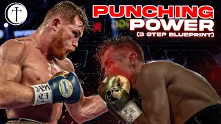 The Punching Power Blueprint: The 3 Step Guide to Building Your Knockout Ability