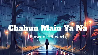 Chahun Main Ya Na Lofi Version | Aashiqui 2 | Arijit Singh | Palak Muchhal