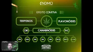 Evidências de casos reais do tratamento com Cannabis Medicinal na ortopedia. Relatos de casos