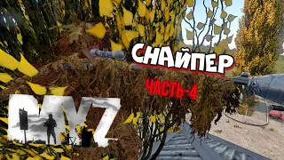 #DayZ Cнайпер | Меня уже проклинают на этом сервере | #Dayz Sniper