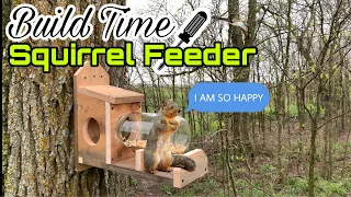 HOW TO BUILD A SQUIRREL FEEDER: Jerry The Adorable Squirrel Is Going To Love This