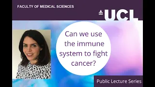 Can we use the immune system to fight cancer?