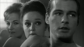 Lost Joe Sarno Film Found - The Naked Fog (1966)