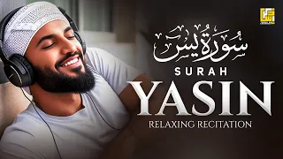 Most Relaxing recitation of Surah Yasin (Yaseen) سورة يس | SOFT VOICE | Zikrullah TV