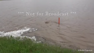 05-07-2019 Pratt County, KS Flash Flood Warning Rushing Water