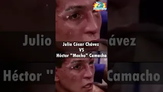 Julio Cesar Chavez VS Macho Camacho #juliocesarchavez #shorts #boxeomexicano