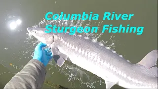 Sturgeon Fishing | Lower Columbia River | Keeper Sturgeon