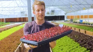 Aquaponics FARM in TEXAS  🐟 + 🌿 = 🤠 Sustainable Harvesters