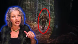 5 Unusual Forest Encounter Stories You Won't Believe Are True!