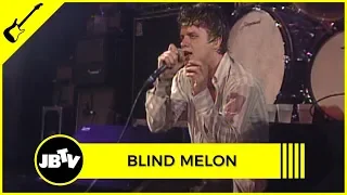 Blind Melon - Walk | Live @ Metro