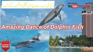 Amazing Dance of Dolphin Fish| Dolphin fish Fun| Girl fun with Dolphin fish| Beautiful Videos |