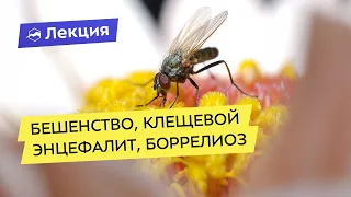 Бешенство, клещевой энцефалит, боррелиоз и другие инфекции