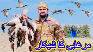 300 duck shooting video | Murghabi ka shikar - Duck hunting in pakistan