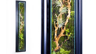 DIY Living Wall Moss Terrarium