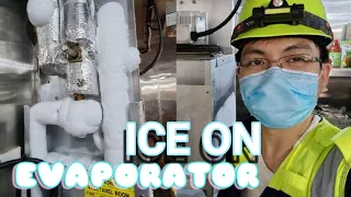 PROVISION REFRIGERATION TROUBLESHOOTING | Marine Electrician