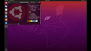 Ubuntu 20.04 Overview & Gaming Live Stream! | Distro Delves Encore