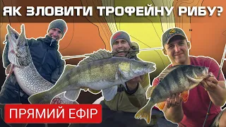 Секрети ловлі трофейної риби від експертів. Українська рибалка на щуку, судака та окуня
