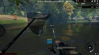 Professional Fishing pc: best fishing spot early game so get some money for eguipment