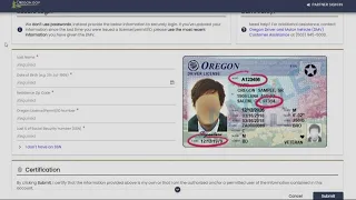 Oregon drivers can now renew license online