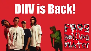 DIIV Releases New Album Frog in Boiling Water | Who is the band DIIV?