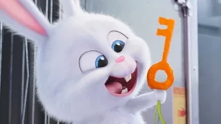 The Secret Life of Pets - Kevin Hart Is Snowball | official trailer (2016)