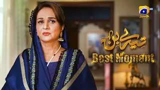 Tere Bin Episode 52 || Yumna Zaidi - Wahaj Ali || 𝗕𝗲𝘀𝘁 𝗠𝗼𝗺𝗲𝗻𝘁 𝟬𝟭 || Har Pal Geo