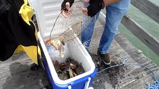 Local Crabber