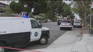 Person shot after car crashes into Chinese Consulate in San Francisco, police say