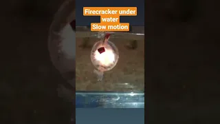 Firecracker Underwater Slow motion #shorts #youtubeshorts