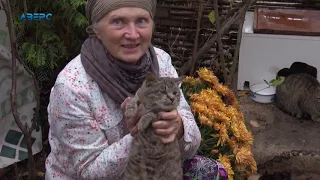 Лучанка Любов Шмідт уже понад 20 років допомагає безпритульним котикам