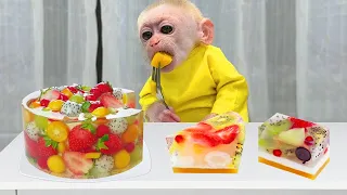 Baby Monkey Jic Jic was given fruit jelly by its father to eat