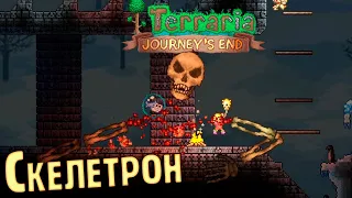 Скелетрон И Его Долбанное Подземелье - #8 TERRARIA 1.4