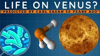 Life on Venus ? - The Research Explained