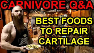 Carnivore Q&A: What Should You EAT for a TORN MENISCUS Injury | Best Foods for Cartilage Repair