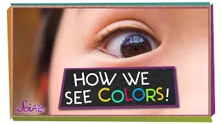 How Do We See Color?