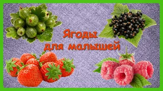 ЯГОДЫ ДЛЯ МАЛЫШЕЙ🍓Учим с детьми названия ягод/ Развивающий мультфильм/КАРТОЧКИ ДОМАНА